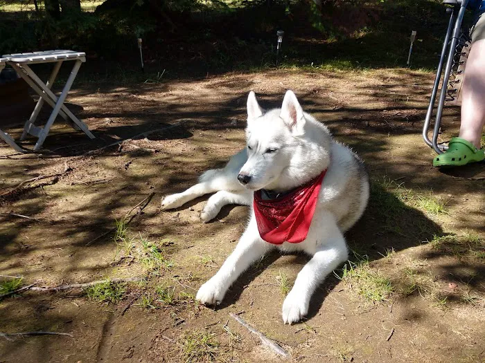 Beech Hill Campground Picture 8