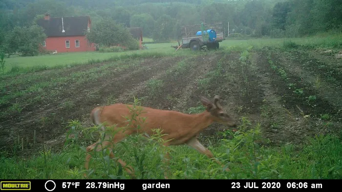 Clyde River Camping Picture 1