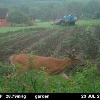 Clyde River Camping ico