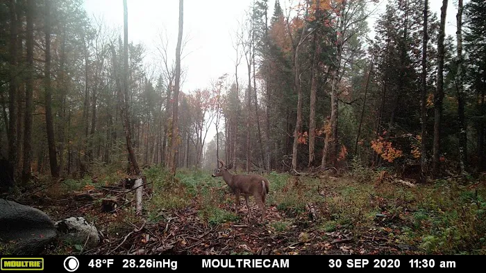 Clyde River Camping Picture 3