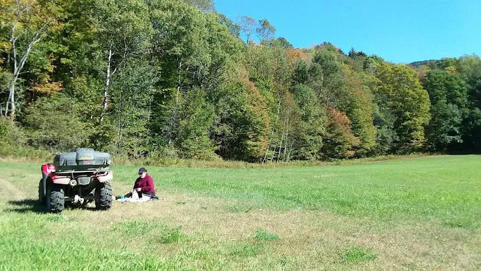 Big Rock Campground & Store Picture 3