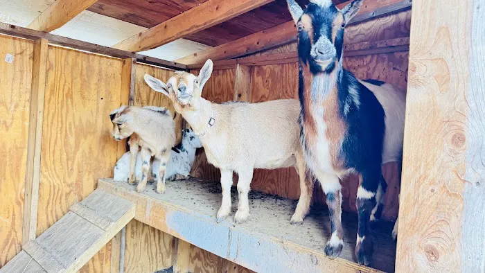 Morse Mountain by Niemiec Properties Picture 4