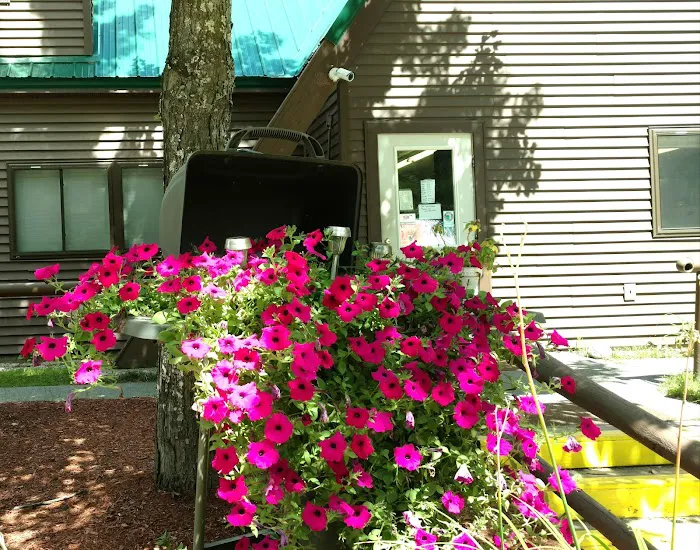 Beaver Hollow Campground Picture 8