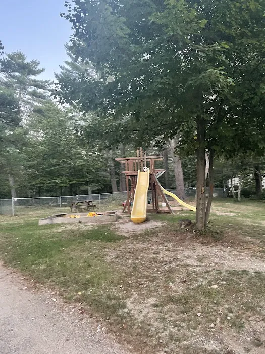 Beaver Hollow Campground Picture 4