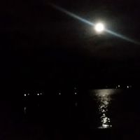 Beachwood Shores Campground ico