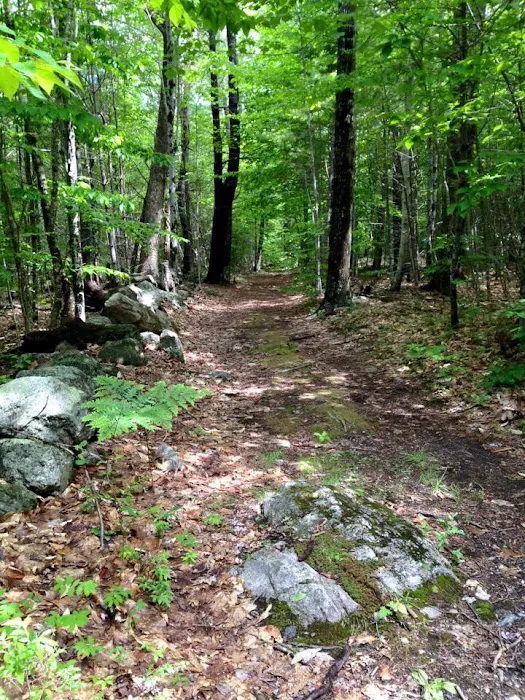 Lake Ivanhoe Campground Picture 8