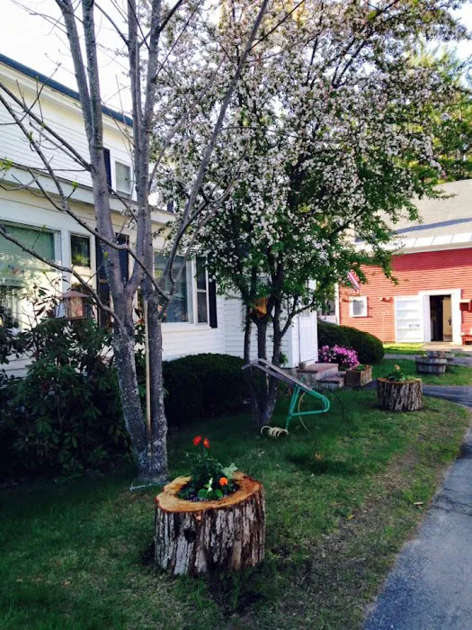 Lake Ivanhoe Campground Picture 5