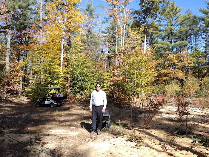 Lake Forest Resort Picture 2