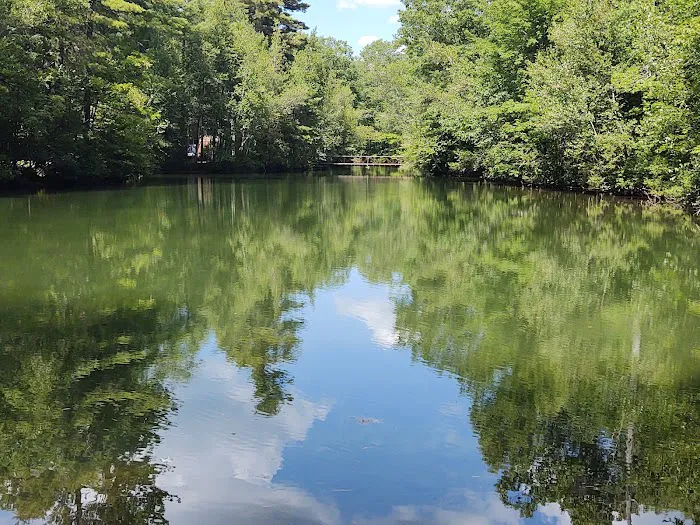 Lake Forest Resort Picture 3