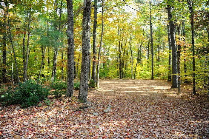 Lake Forest Resort Picture 8