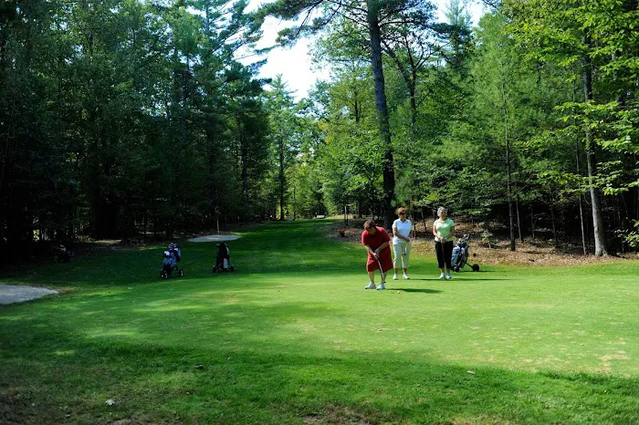 Lake Forest Resort Picture 4