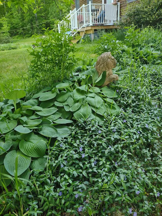 Full Wellness Retreat at Fort Ridge Picture 9