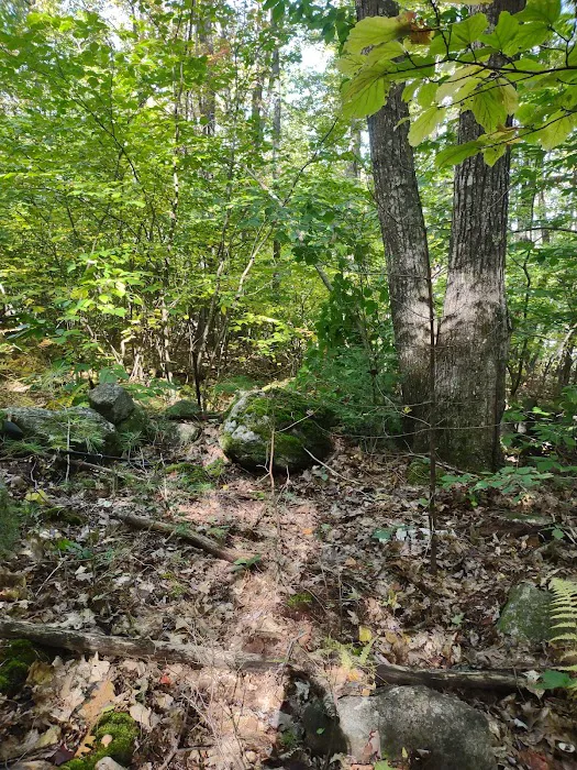 Full Wellness Retreat at Fort Ridge Picture 5