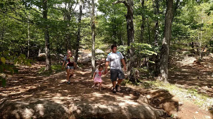 Full Wellness Retreat at Fort Ridge Picture 7