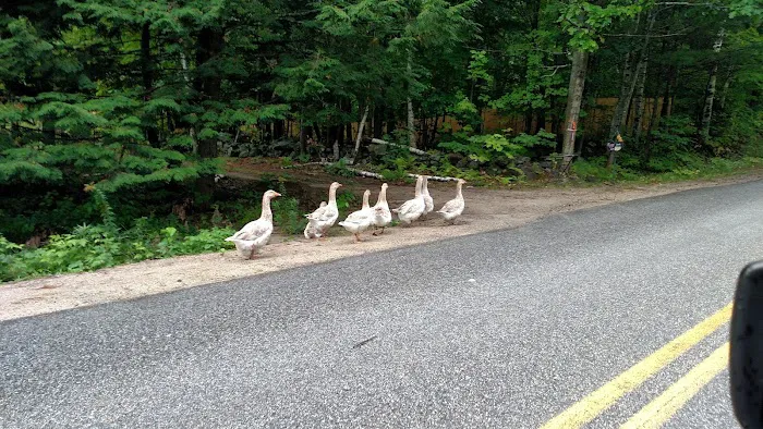 Full Wellness Retreat at Fort Ridge Picture 3