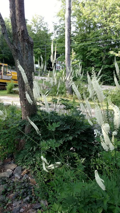 Full Wellness Retreat at Fort Ridge Picture 10