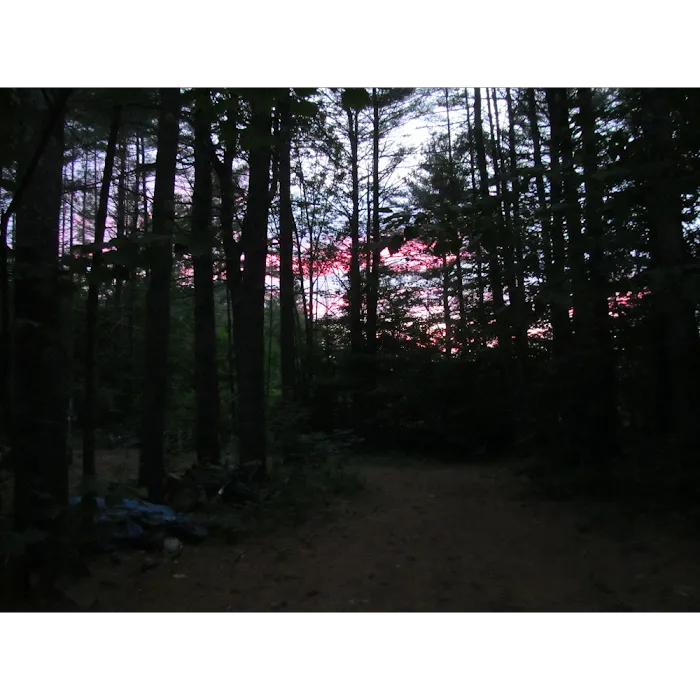 Bearcamp River Campground Picture 6