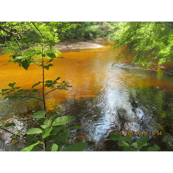 Bearcamp River Campground Picture 5