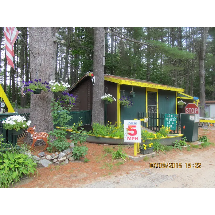 Bearcamp River Campground Picture 4