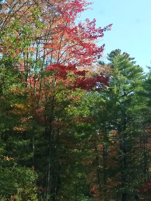 Apache Campground Picture 9