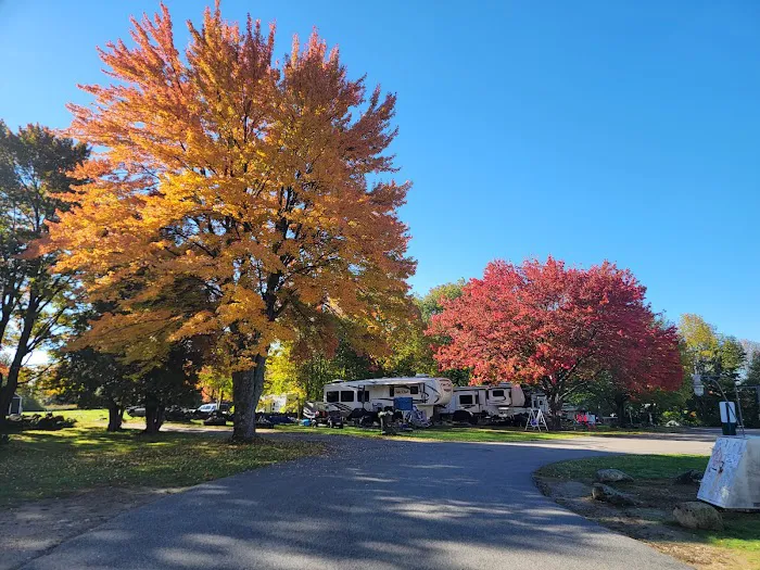 Spacious Skies Campgrounds - Walnut Grove Picture 5