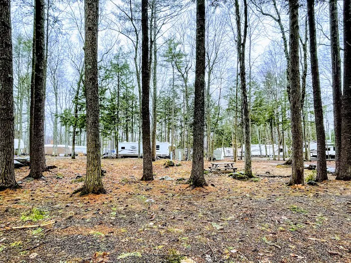 Spacious Skies Campgrounds - Walnut Grove Picture 7