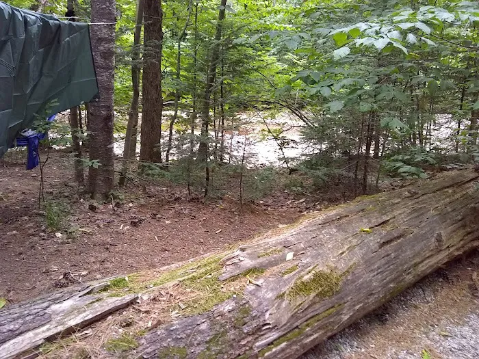 Passaconaway Campground Picture 6