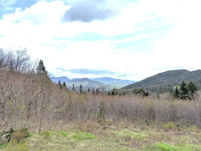 Passaconaway Campground Picture 4