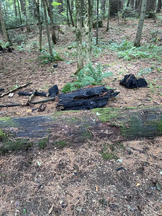 Passaconaway Campground Picture 10