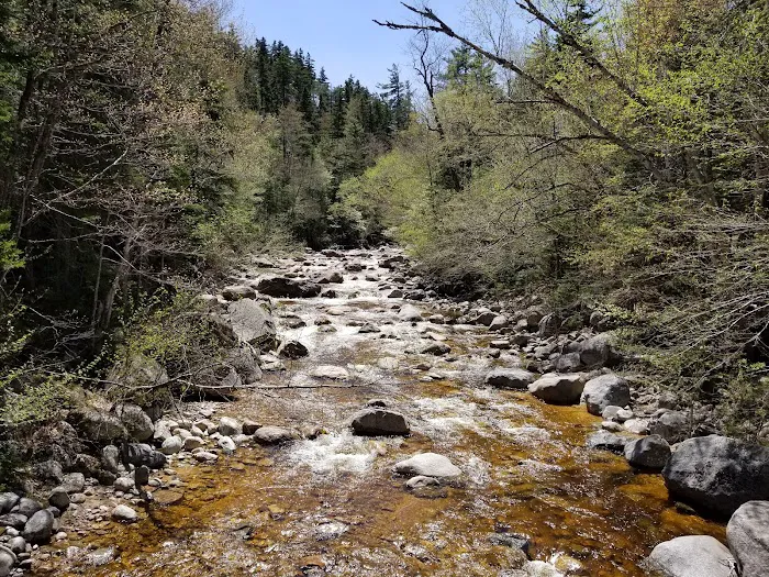 Sawyer Pond Shelter & Tentsite Picture 6