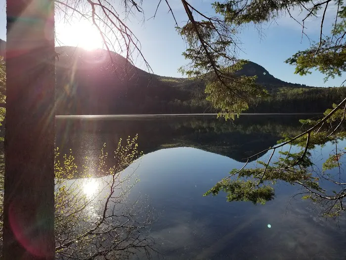 Sawyer Pond Shelter & Tentsite Picture 2