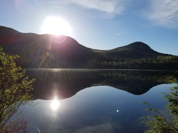Sawyer Pond Shelter & Tentsite Picture 5