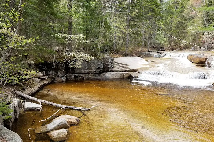 Sawyer Pond Shelter & Tentsite Picture 4