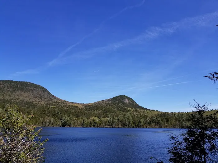 Sawyer Pond Shelter & Tentsite Picture 1