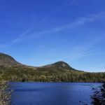 Sawyer Pond Shelter & Tentsite