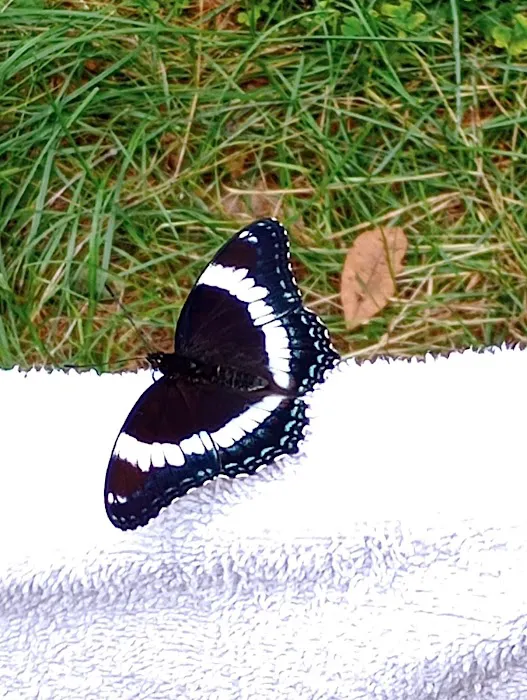 Jigger Johnson Campground Picture 4