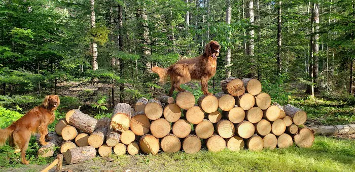 Jigger Johnson Campground Picture 8