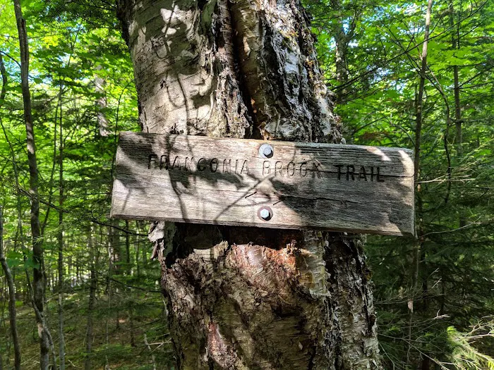 Thirteen Falls Tentsite Picture 9