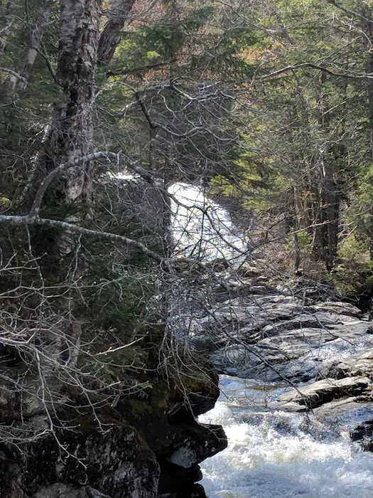 Thirteen Falls Tentsite Picture 8