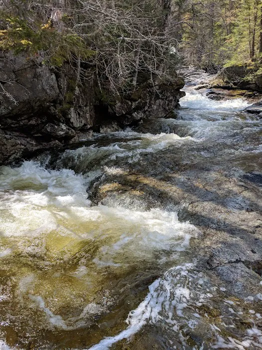 Thirteen Falls Tentsite Picture 3