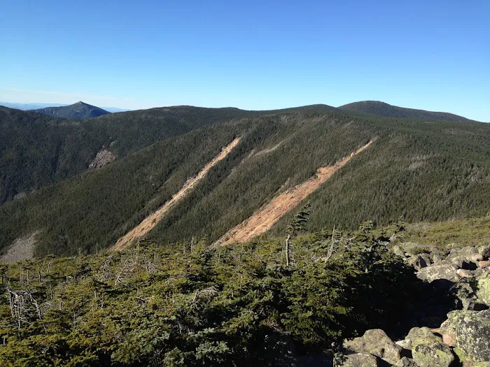 Guyot Shelter Picture 6