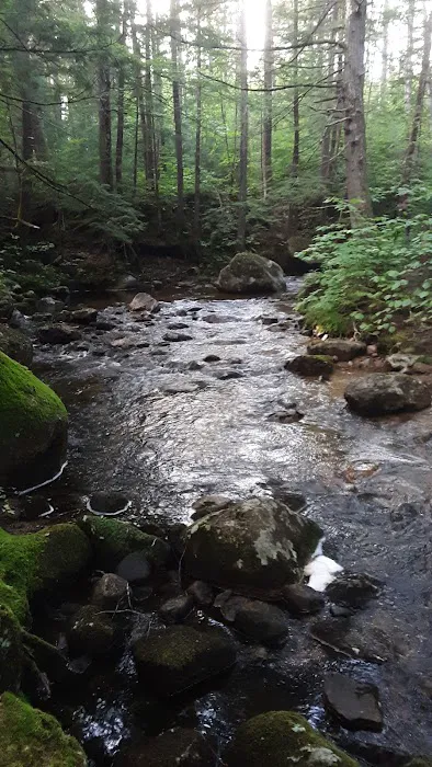 Wilderness Cabins Picture 9