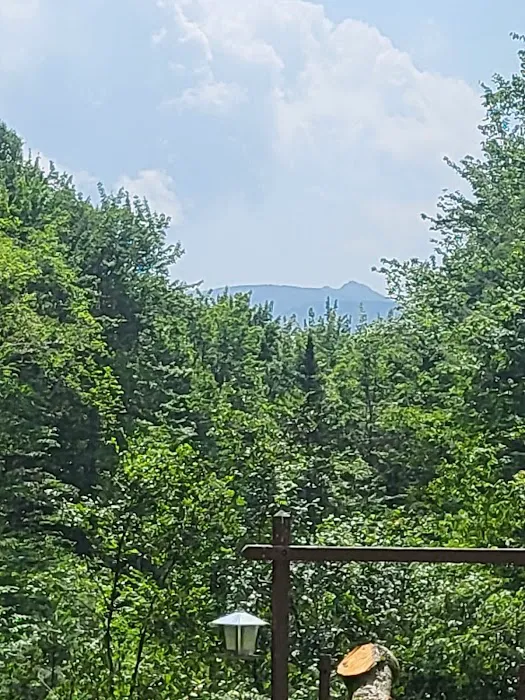 Wilderness Cabins Picture 1