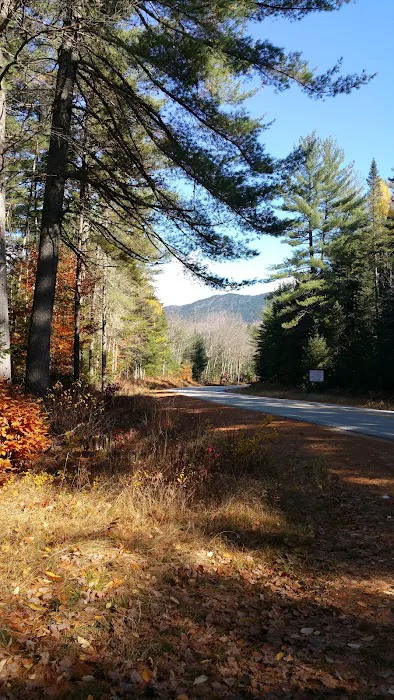 Wilderness Cabins Picture 10