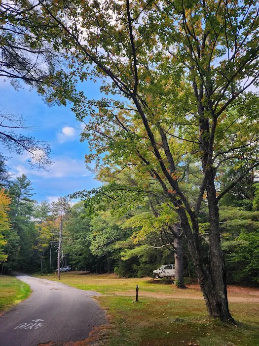 White Ledge Campground Picture 8