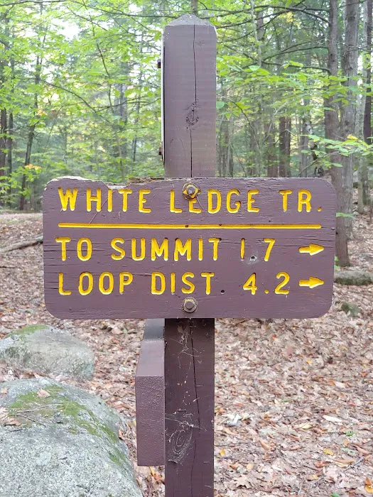 White Ledge Campground Picture 2