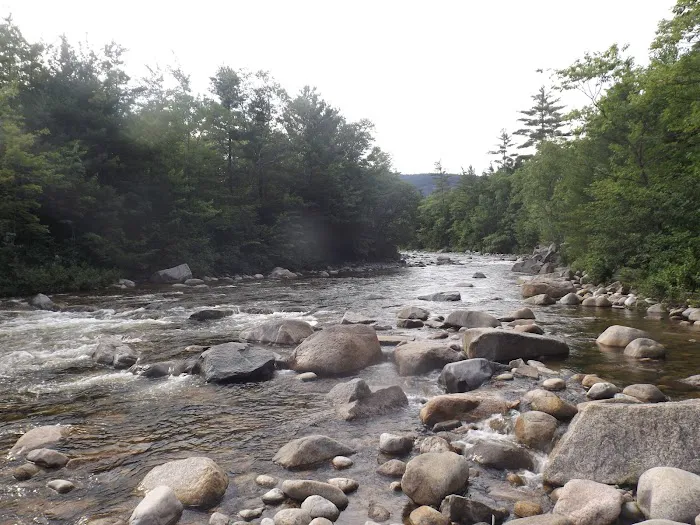 Blackberry Crossing Campground Picture 5