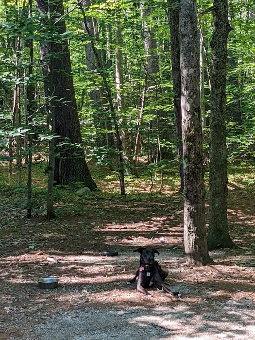 Covered Bridge Campground Picture 6