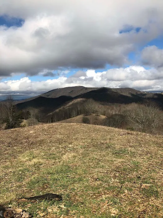 Fitzy's Place Picture 4