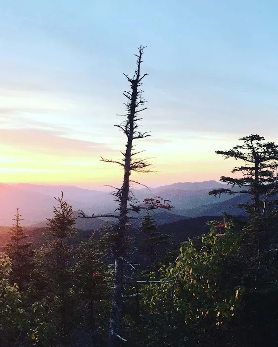 Fitzy's Place Picture 5